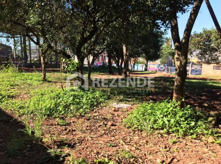 terreno rua da praca 1 centenario cidade nova vera cruz 720m2 29 1024x768