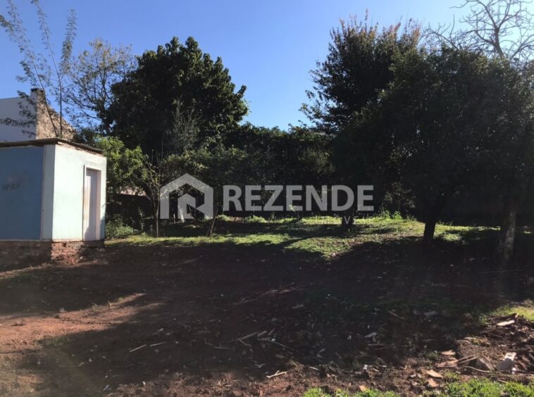 terreno rua da praca 1 centenario cidade nova vera cruz 720m2 39 1024x768