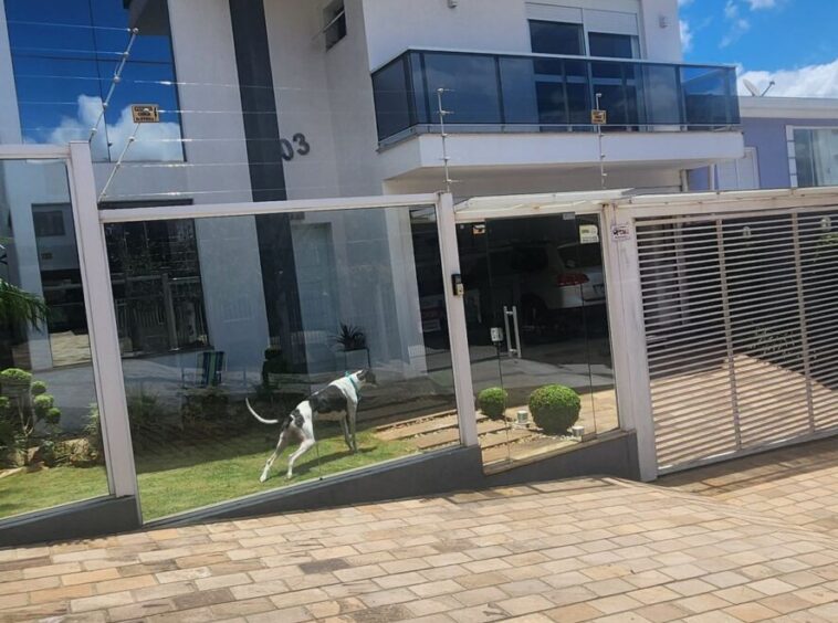 venda casa residencial 3 dormitorios sao luiz gonzaga passo fundo rs rezende imoveis (8)